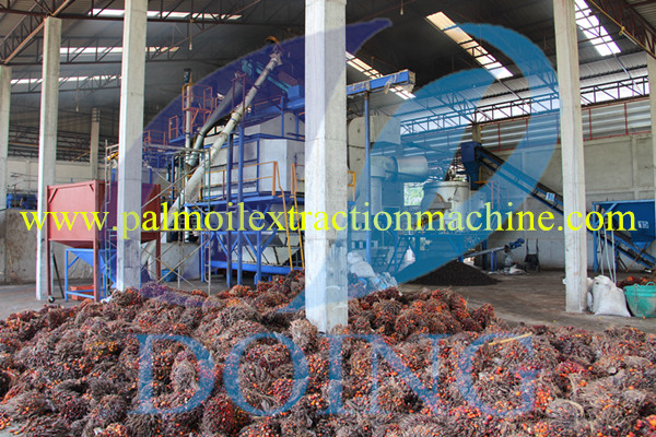  3-20tph vital breakthrough palm oil mill plant 