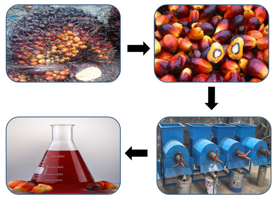 Small scale palm oil plant