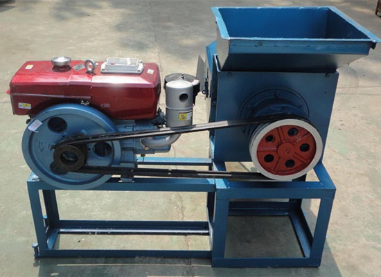 Small scale FFB oil press machine