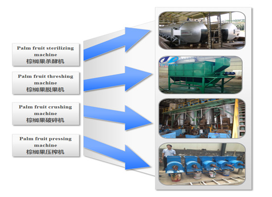 Palm oil extraction process