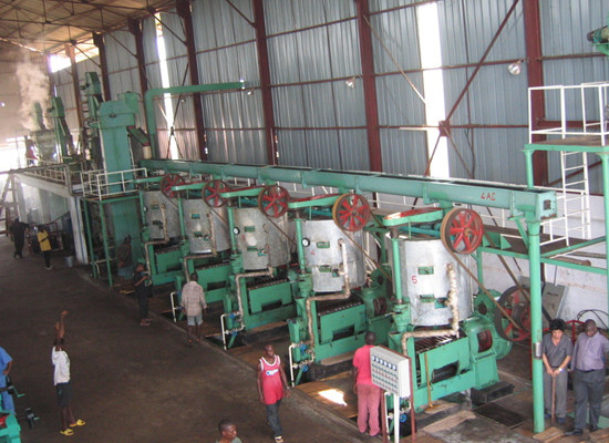 Can palm kernel oil press machinery replace common 