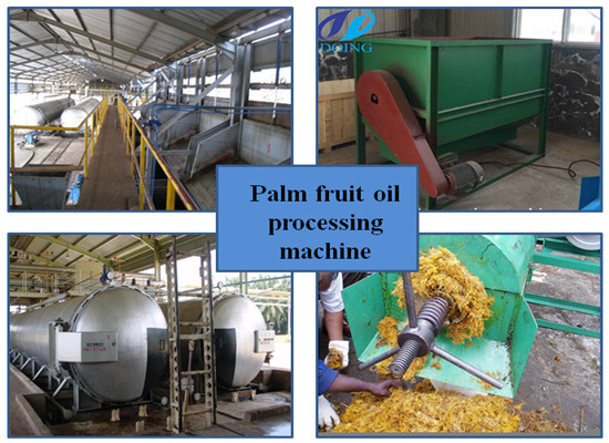  5T/H palm oil mill project technical feasibility re 