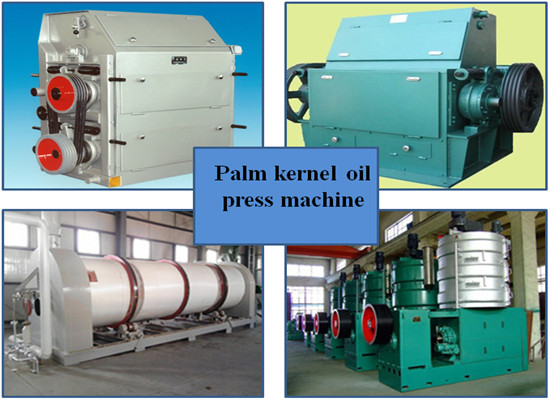 Palm kernel oil mill plant