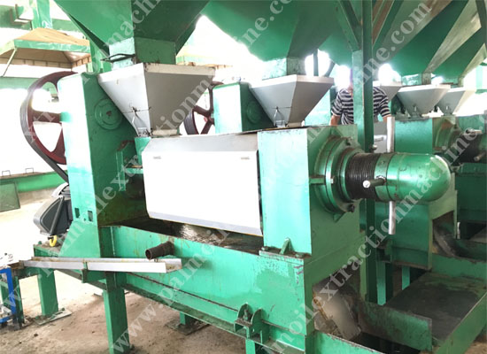 palm kernel oil extraction machine