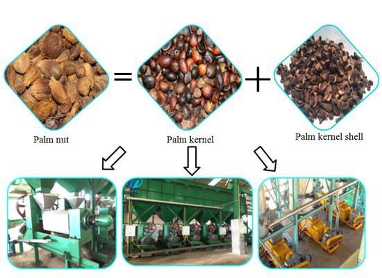 Palm kernel oil expeller/palm kernel oil miling mac