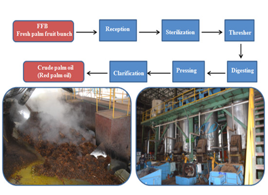 Turn-key palm oil mill/palm oil processing machine