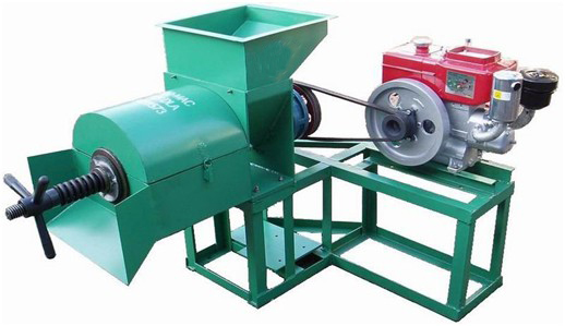 palm oil press machine