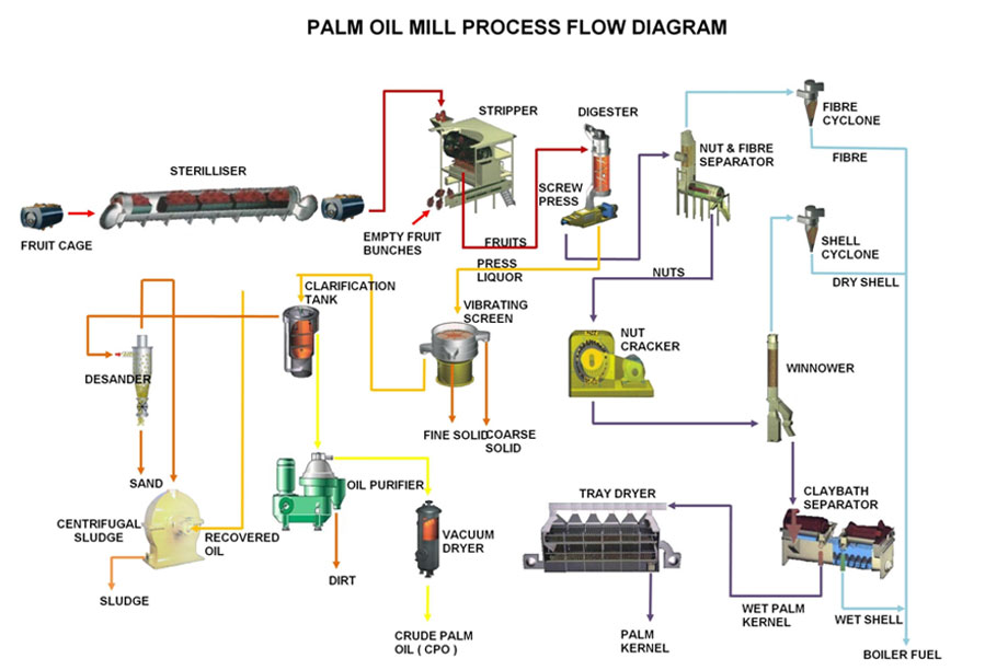 Palm oil mill process