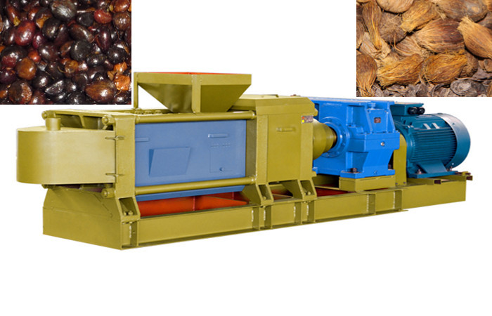 palm kernel oil expeller