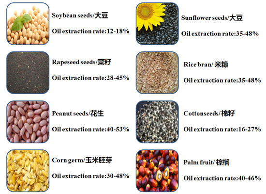 oil seeds and oil extraction rate