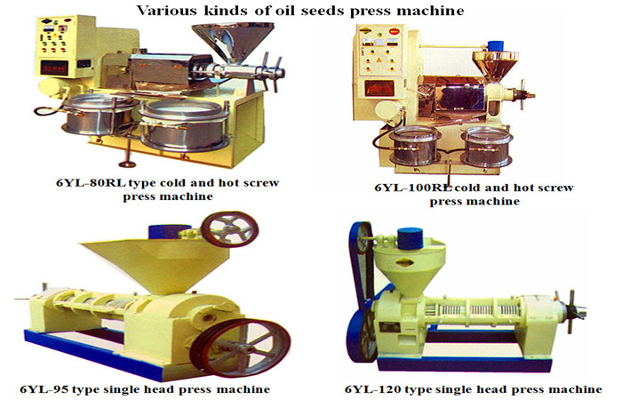 oil press machine