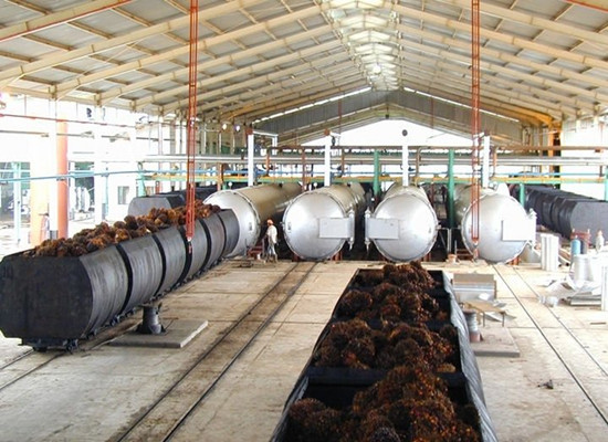 palm fruit sterilizing station