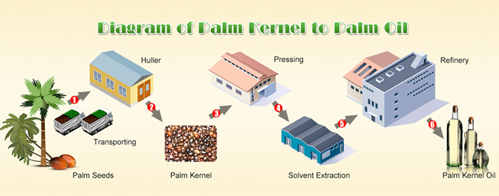 palm oil processing line diagram