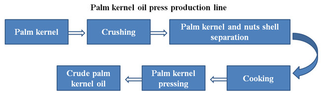 palm kernel oil press production line 