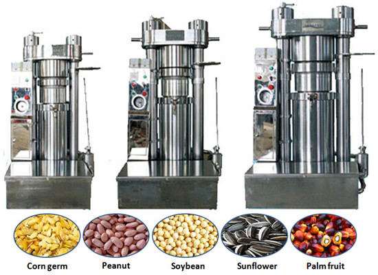 sesame oil pressing machine 