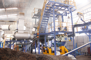 palm oil making machine