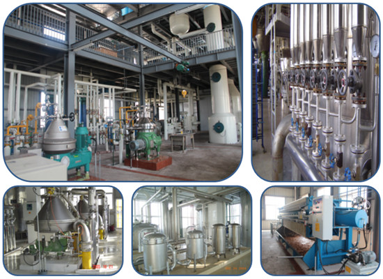 palm kernel oil refining machine 